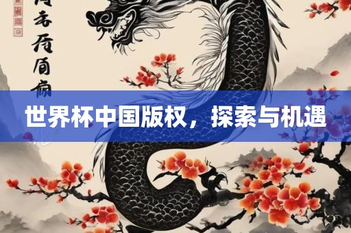 世界杯中国版权，探索与机遇