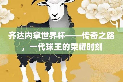 齐达内拿世界杯——传奇之路，一代球王的荣耀时刻