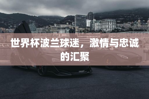 世界杯波兰球迷，激情与忠诚的汇聚
