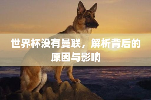 世界杯没有曼联，解析背后的原因与影响