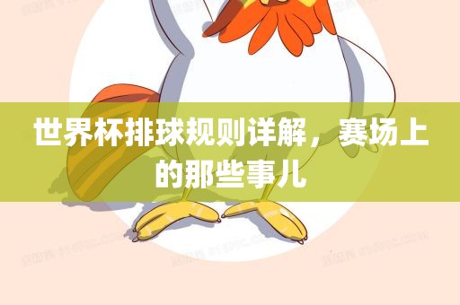 世界杯排球规则详解，赛场上的那些事儿