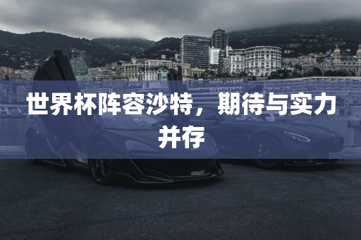 世界杯阵容沙特，期待与实力并存广州鸿业环保设备有限公司