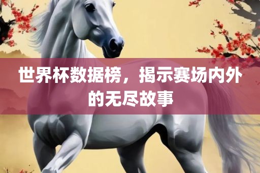 世界杯数据榜，揭示赛场内外的无尽故事