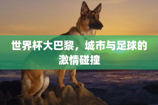世界杯大巴黎，城市与足球的激情碰撞广州鸿业环保设备有限公司