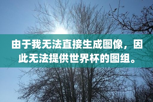 由于我无法直接生成图像，因此无法提供世界杯的图组。