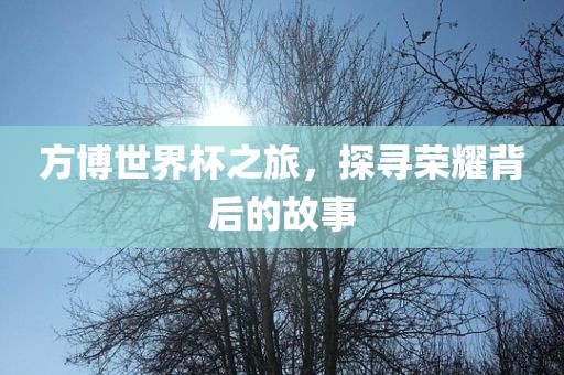 方博世界杯之旅，探寻荣耀背后的故事