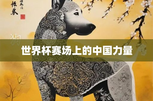 世界杯赛场上的中国力量