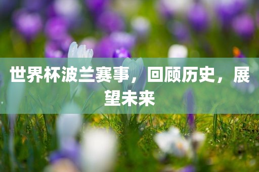 世界杯波兰赛事，回顾历史，展望未来