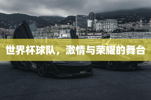世界杯球队，激情与荣耀的舞台