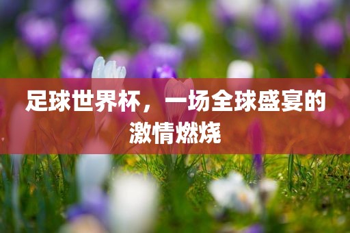 足球世界杯，一场全球盛宴的激情燃烧