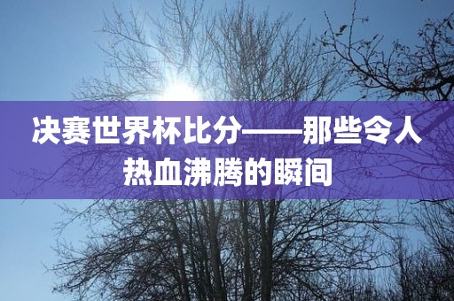 决赛世界杯比分——那些令人热血沸腾的瞬间