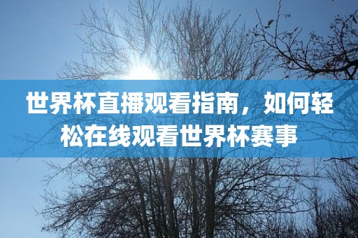 世界杯直播观看指南，如何轻松在线观看世界杯赛事