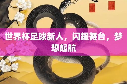 世界杯足球新人，闪耀舞台，梦想起航广州鸿业环保设备有限公司