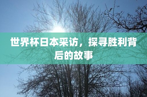 世界杯日本采访，探寻胜利背后的故事