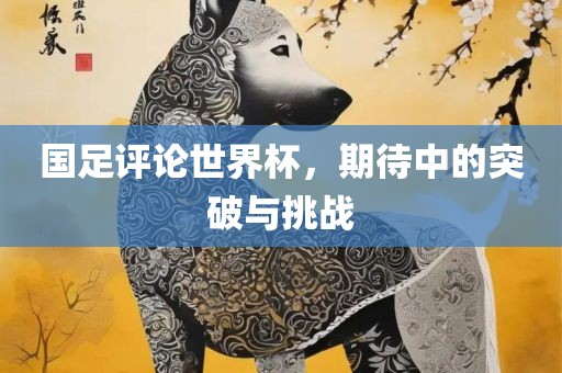 国足评论世界杯，期待中的突破与挑战广州鸿业环保设备有限公司
