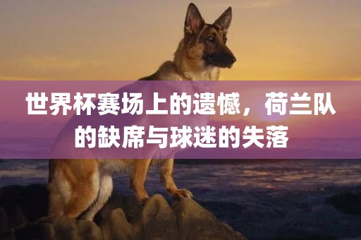 世界杯赛场上的遗憾，荷兰队的缺席与球迷的失落