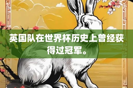 英国队在世界杯历史上曾经获得过冠军。