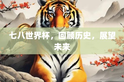 七八世界杯，回顾历史，展望未来