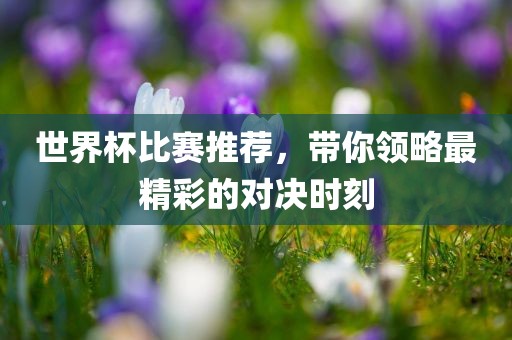 世界杯比赛推荐，带你领略最精彩的对决时刻广州鸿业环保设备有限公司