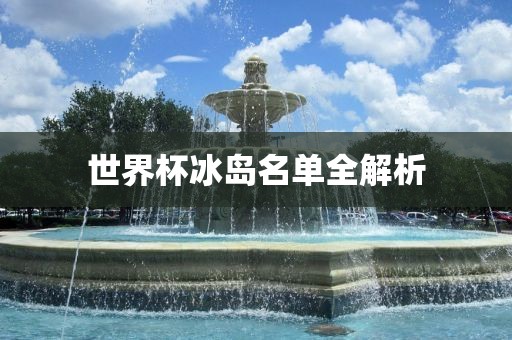 世界杯冰岛名单全解析