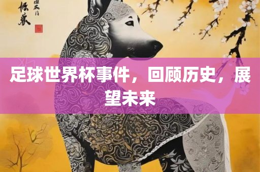 足球世界杯事件，回顾历史，展望未来
