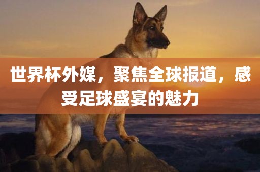 世界杯外媒，聚焦全球报道，感受足球盛宴的魅力