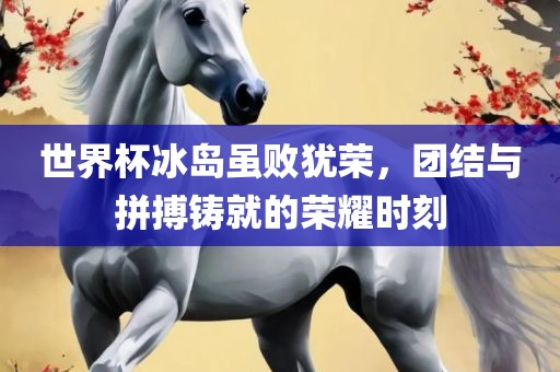 世界杯冰岛虽败犹荣，团结与拼搏铸就的荣耀时刻