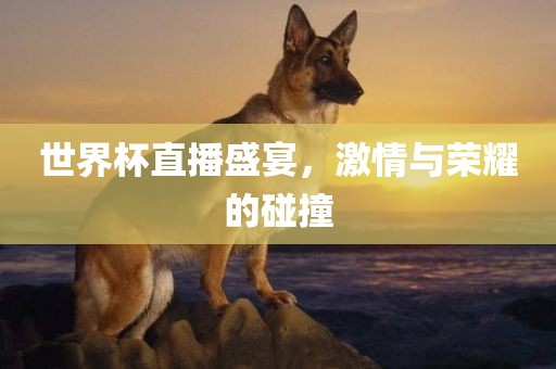 世界杯直播盛宴，激情与荣耀的碰撞