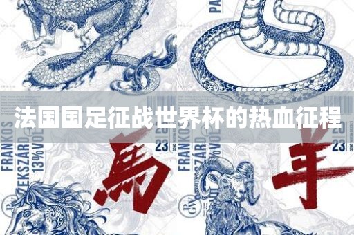 法国国足征战世界杯的热血征程