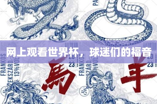 网上观看世界杯，球迷们的福音