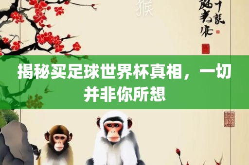 揭秘买足球世界杯真相，一切并非你所想