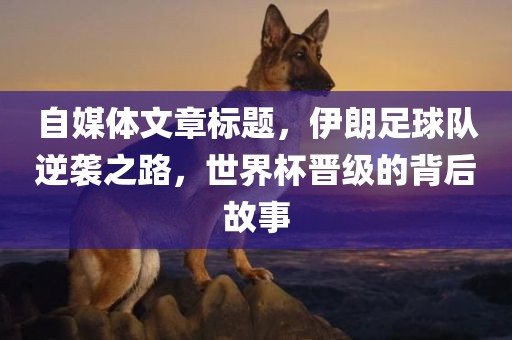 自媒体文章标题，伊朗足球队逆袭之路，世界杯晋级的背后故事