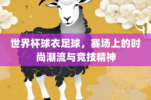 世界杯球衣足球，赛场上的时尚潮流与竞技精神
