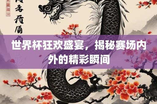 世界杯狂欢盛宴，揭秘赛场内外的精彩瞬间