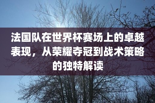 法国队在世界杯赛场上的卓越表现，从荣耀夺冠到战术策略的独特解读