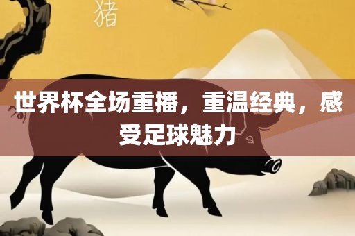 世界杯全场重播，重温经典，感受足球魅力