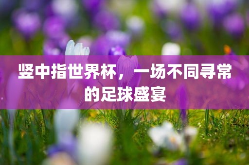 竖中指世界杯，一场不同寻常的足球盛宴