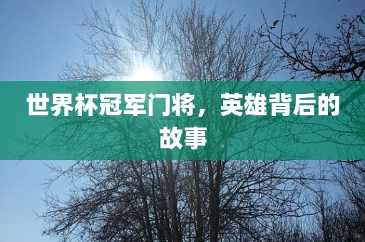 世界杯冠军门将，英雄背后的故事广州鸿业环保设备有限公司