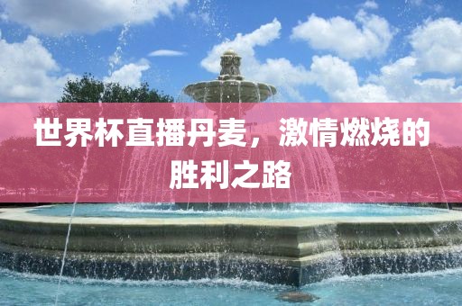 世界杯直播丹麦，激情燃烧的胜利之路