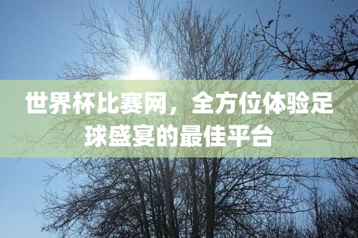 世界杯比赛网，全方位体验足球盛宴的最佳平台