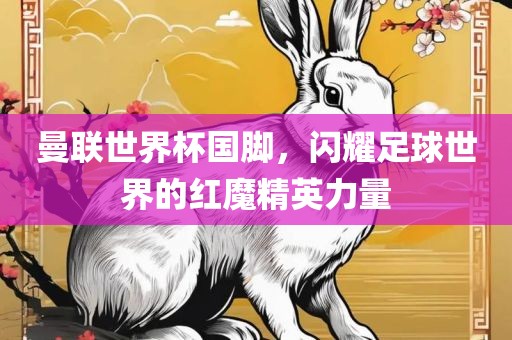曼联世界杯国脚，闪耀足球世界的红魔精英力量