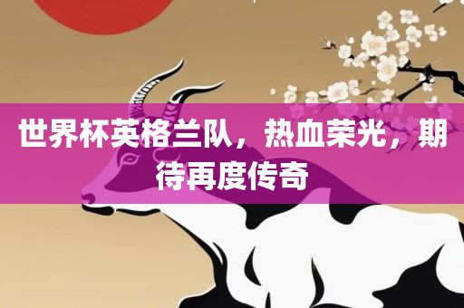 世界杯英格兰队，热血荣光，期待再度传奇