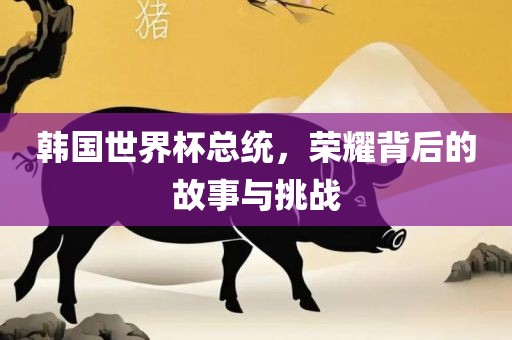 韩国世界杯总统，荣耀背后的故事与挑战