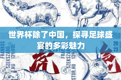 世界杯除了中国，探寻足球盛宴的多彩魅力