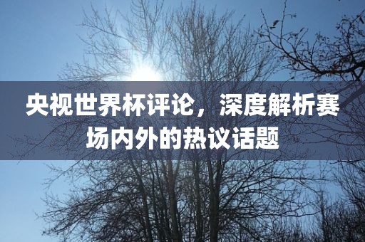 央视世界杯评论，深度解析赛场内外的热议话题广州鸿业环保设备有限公司