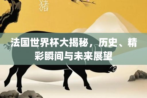 法国世界杯大揭秘，历史、精彩瞬间与未来展望