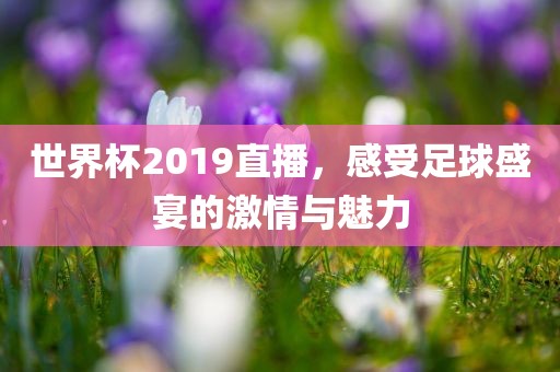 世界杯2019直播，感受足球盛宴的激情与魅力广州鸿业环保设备有限公司