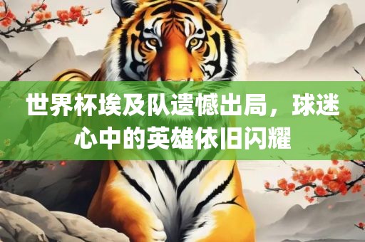 世界杯埃及队遗憾出局，球迷心中的英雄依旧闪耀