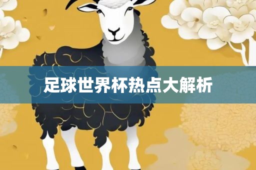 足球世界杯热点大解析