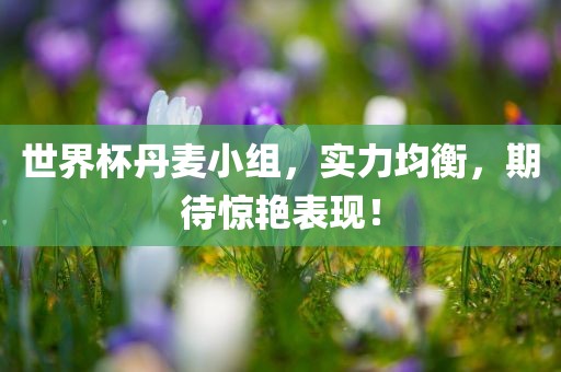 世界杯丹麦小组，实力均衡，期待惊艳表现！